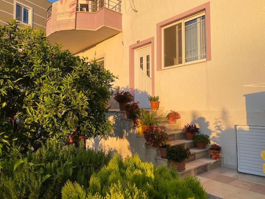 קסאמיל Guesthouse Xhimi מראה חיצוני תמונה