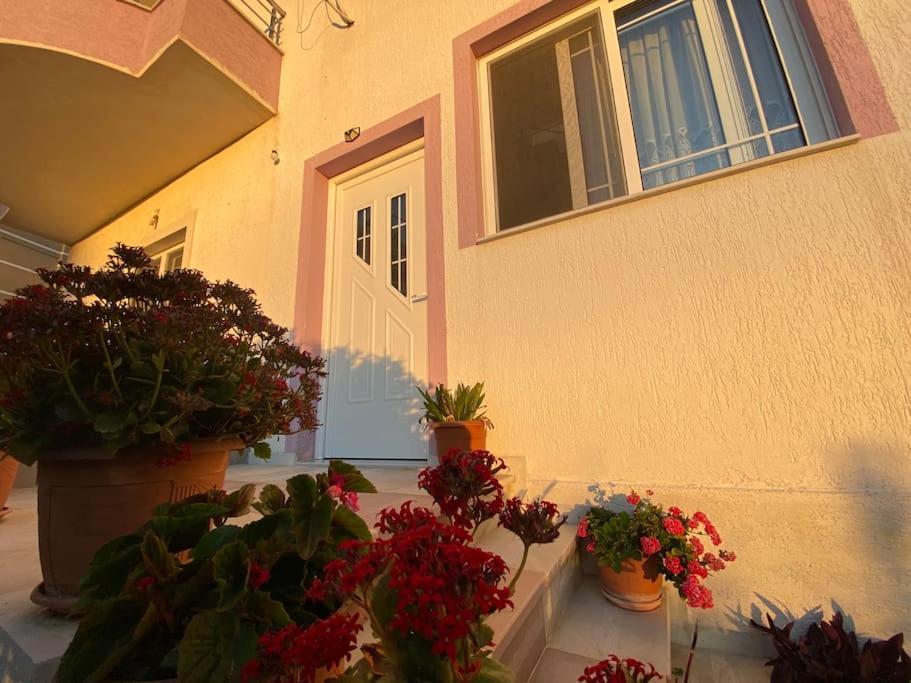 קסאמיל Guesthouse Xhimi מראה חיצוני תמונה