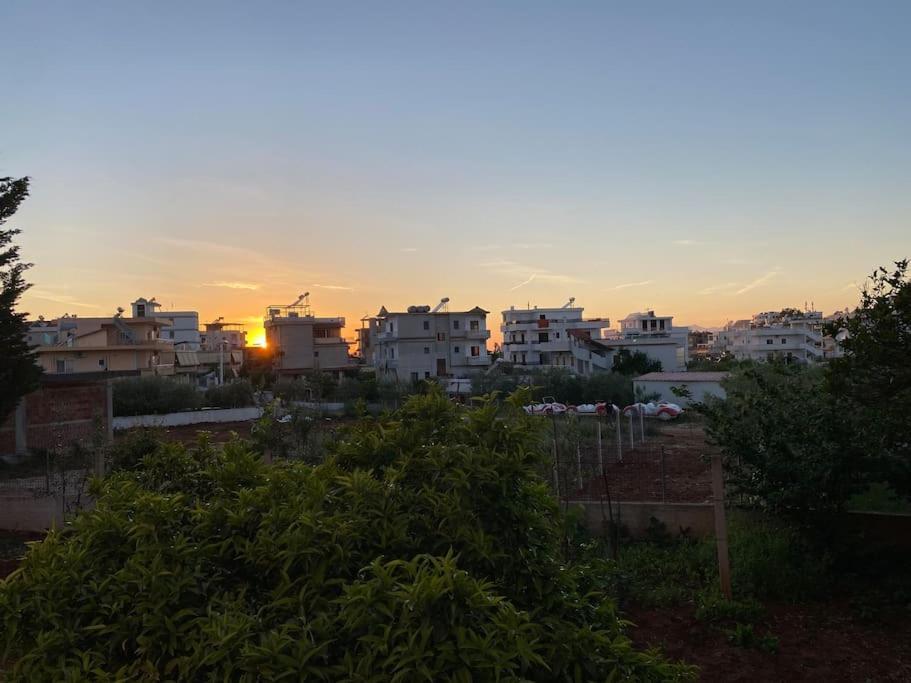 קסאמיל Guesthouse Xhimi מראה חיצוני תמונה