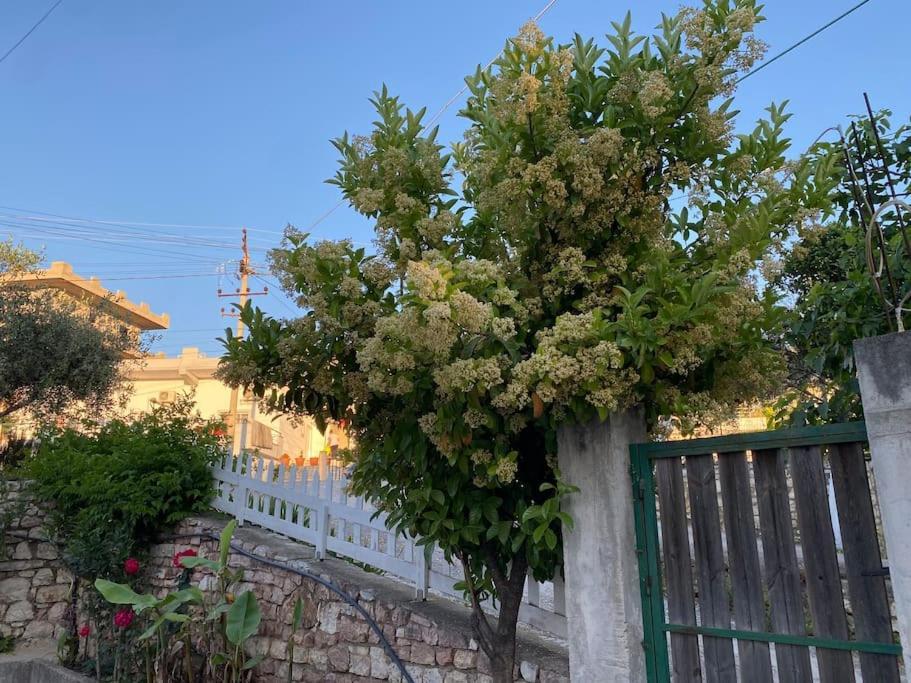 קסאמיל Guesthouse Xhimi מראה חיצוני תמונה