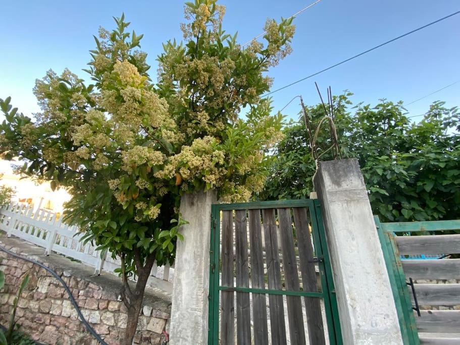 קסאמיל Guesthouse Xhimi מראה חיצוני תמונה