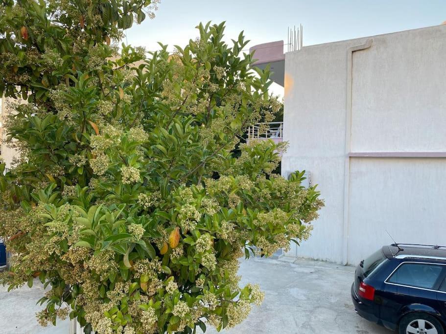 קסאמיל Guesthouse Xhimi מראה חיצוני תמונה