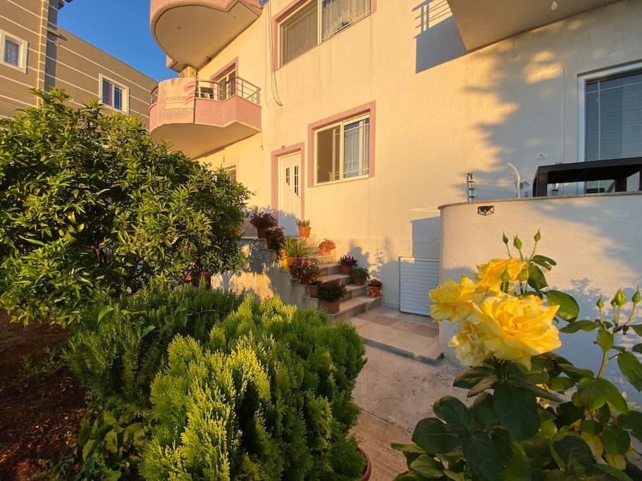 קסאמיל Guesthouse Xhimi מראה חיצוני תמונה
