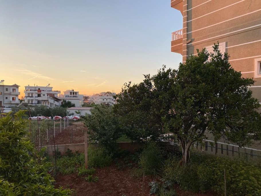 קסאמיל Guesthouse Xhimi מראה חיצוני תמונה