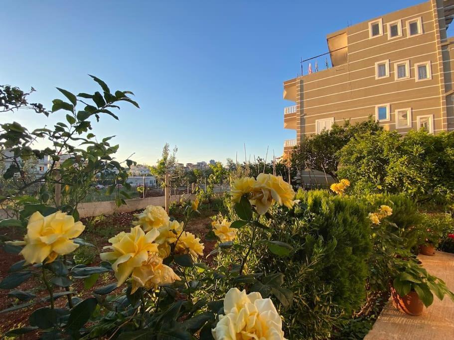 קסאמיל Guesthouse Xhimi מראה חיצוני תמונה