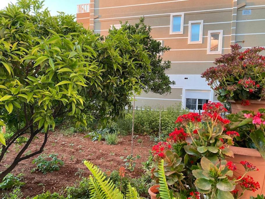 קסאמיל Guesthouse Xhimi מראה חיצוני תמונה
